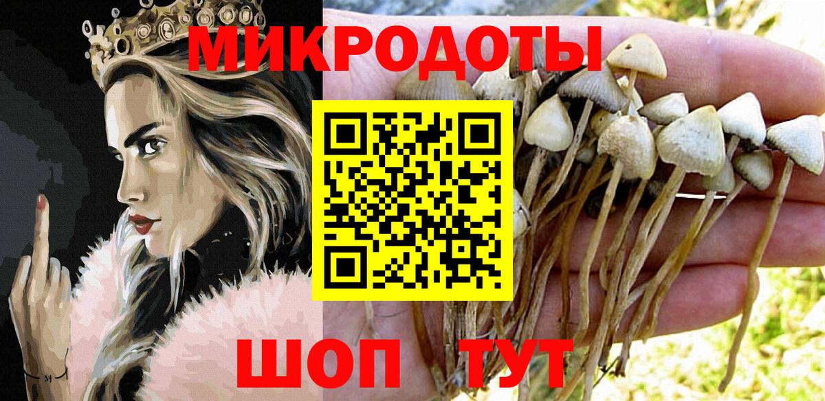Назарово  Псилоцибиновые грибы Psilocybine cubensis  Вход с VPN 