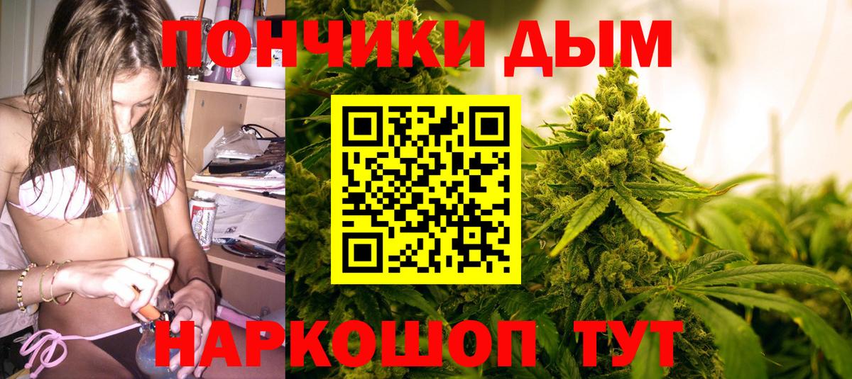 Каннабис сатива Назарово